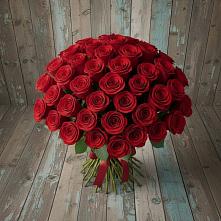 Букет 55 Красных роз Фридом #REPLACE_PRED# Макарьеве