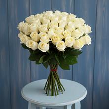 Букет 51 Белая роза Эдлесс Лав #REPLACE_PRED# Макарьеве