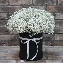 Цветочная композиция из Гипсофила в шляпной коробке в Макарьеве